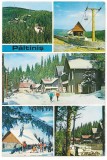 carte postala(ilusrata)-PALTINIS
