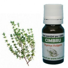 Ulei esential de cimbru (10 ml) foto