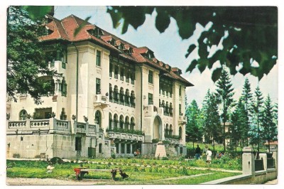 carte postala(ilusrata)-PREDEAL-vila foto