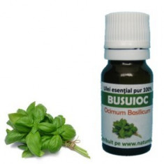 Ulei esential de busuioc (10 ml) foto