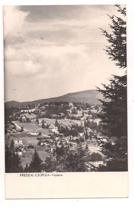 carte postala(ilusrata)-PREDEAL-CIOPLEA-vedere