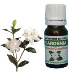 Ulei esential de gardenia (5 ml) foto