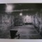 C.P. CU LAGARUL DE LA AUSCHWITZ