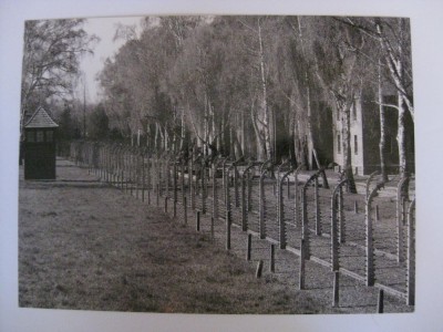 C.P.MARE CU LAGARUL DE LA AUSCHWITZ foto