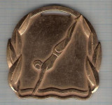 C173 Medalie NATATIE -ROMANIA -CEHOSLOVACIA -BUCURESTI 1972 -marime circa 60x60 mm -greutate aprox. 101 gr -starea care se vede