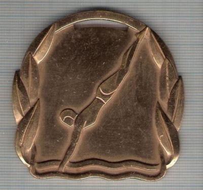 C173 Medalie NATATIE -ROMANIA -CEHOSLOVACIA -BUCURESTI 1972 -marime circa 60x60 mm -greutate aprox. 101 gr -starea care se vede foto