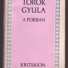 Torok Gyula - A Porban (Lb. Maghiara)