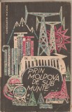 (C2211) PRIN MOLDOVA DE SUB MUNTE, DE CONSTANTIN TANASA, EDITURA UNIUNII DE CULTURA FIZICA SI SPORT, BUCURESTI, 1965