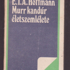 E.T.A. Hoffmann - Murr kandur eletszemlelete (Lb. Maghiara)