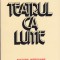 AMZA SACEANU - TEATRUL CA LUME