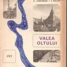 (C2175) VALEA OLTULUI DE GIURCANEANU SI MOCANU, EDITURA STIINTIFICA, BUCURESTI, 1967