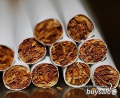 TUTUN DIN tigari Doina, Temp, Plugarul foto