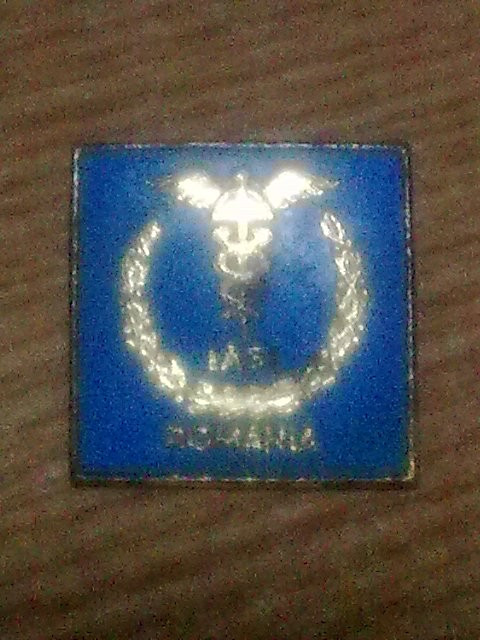 INSIGNA-IASI-1.