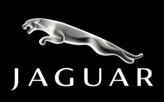 JAGUAR EPC foto