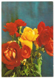 Carte postala-FLORI-trandafiri, Necirculata, Printata