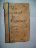 Mic tratat de estetica sau Lumea Vazuta Estetic - F. Aderca