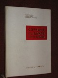 Cofraje glisante - Tudor Dinescu, Constantin Radulescu,