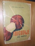 TRICOTAJE DE MINA -- Both Cornelia, Recht Martha -- 1959, 179 p.