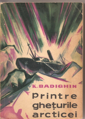 (C2280) PRINTRE GHETURILE ARCTICEI DE K. BADIGHIN, EDITURA STIINTIFICA, BUCURESTI, 1962 foto