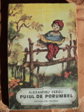 PUIUL DE PORUMBEL - ALEXANDRU VERGU - carte pentru copii