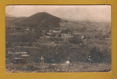 NEAMT FILIOARA 1926 (B) foto