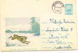 %plic(intreg postal)-SA OCROTIM IEPURELE ,VANATUL NOSTRU DE BAZA-cod46/64, Dupa 1950