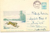 %plic(intreg postal)-SA OCROTIM IEPURELE ,VANATUL NOSTRU DE BAZA-cod46/64