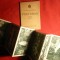 Carnet cu 7 Ilustrate - Pestera Postumia - Triest