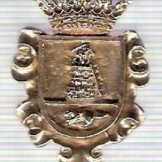 C294 Medalie(placheta) heraldica stema(emblema) zonala Spania -marime cca 30X23mm, gr aprox 6gr. -starea care se vede, mai buna ca scanarea