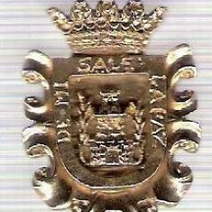 C311 Medalie(placheta) heraldica stema(emblema) zonala Spania -marime cca 29X22mm, gr aprox 7gr. -starea care se vede, mai buna ca scanarea