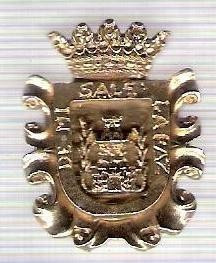 C311 Medalie(placheta) heraldica stema(emblema) zonala Spania -marime cca 29X22mm, gr aprox 7gr. -starea care se vede, mai buna ca scanarea foto