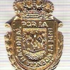C291 Medalie(placheta) heraldica stema(emblema) zonala Spania -marime cca 32X22mm, gr aprox 7gr. -starea care se vede, mai buna ca scanarea