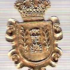 C284 Medalie(placheta) heraldica stema(emblema) zonala Spania -marime cca 33X23mm, gr aprox 6gr. -starea care se vede, mai buna ca scanarea