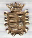 C308 Medalie(placheta) heraldica stema(emblema) zonala Spania -marime cca 30X22mm, gr aprox 7gr. -starea care se vede, mai buna ca scanarea