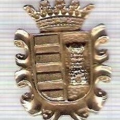 C308 Medalie(placheta) heraldica stema(emblema) zonala Spania -marime cca 30X22mm, gr aprox 7gr. -starea care se vede, mai buna ca scanarea