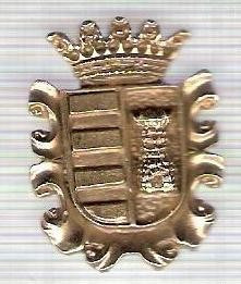 C308 Medalie(placheta) heraldica stema(emblema) zonala Spania -marime cca 30X22mm, gr aprox 7gr. -starea care se vede, mai buna ca scanarea foto