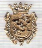 C299 Medalie(placheta) heraldica stema(emblema) zonala Spania -marime cca 29X23mm, gr aprox 7gr. -starea care se vede, mai buna ca scanarea