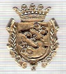 C299 Medalie(placheta) heraldica stema(emblema) zonala Spania -marime cca 29X23mm, gr aprox 7gr. -starea care se vede, mai buna ca scanarea foto