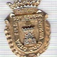 C316 Medalie(placheta) heraldica stema(emblema) zonala Spania -marime cca 29X21mm, gr aprox 7gr. -starea care se vede, mai buna ca scanarea