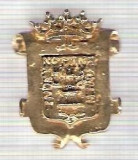 C300 Medalie(placheta) heraldica stema(emblema) zonala Spania -marime cca 28X22mm, gr aprox 8gr. -starea care se vede, mai buna ca scanarea