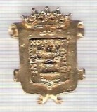 C300 Medalie(placheta) heraldica stema(emblema) zonala Spania -marime cca 28X22mm, gr aprox 8gr. -starea care se vede, mai buna ca scanarea