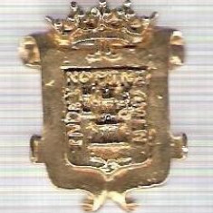 C300 Medalie(placheta) heraldica stema(emblema) zonala Spania -marime cca 28X22mm, gr aprox 8gr. -starea care se vede, mai buna ca scanarea