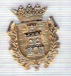 C303 Medalie(placheta) heraldica stema(emblema) zonala Spania -marime cca 30X22mm, gr aprox 5gr. -starea care se vede, mai buna ca scanarea