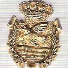 C298 Medalie(placheta) heraldica stema(emblema) zonala Spania -marime cca 32X22mm, gr aprox 10gr. -starea care se vede, mai buna ca scanarea