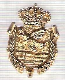 C298 Medalie(placheta) heraldica stema(emblema) zonala Spania -marime cca 32X22mm, gr aprox 10gr. -starea care se vede, mai buna ca scanarea foto