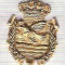 C298 Medalie(placheta) heraldica stema(emblema) zonala Spania -marime cca 32X22mm, gr aprox 10gr. -starea care se vede, mai buna ca scanarea