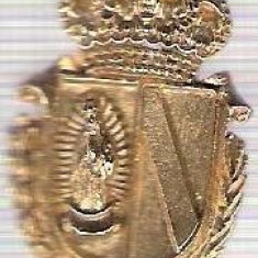 C297 Medalie(placheta) heraldica stema(emblema) zonala Spania -marime cca 32X21mm, gr aprox 6gr. -starea care se vede, mai buna ca scanarea