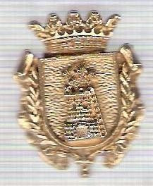 C301 Medalie(placheta) heraldica stema(emblema) zonala Spania -marime cca 30X23mm, gr aprox 8gr. -starea care se vede, mai buna ca scanarea foto