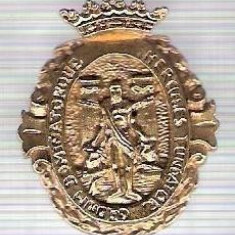 C289 Medalie(placheta) heraldica stema(emblema) zonala Spania -marime cca 31X24mm, gr aprox 8gr. -starea care se vede, mai buna ca scanarea