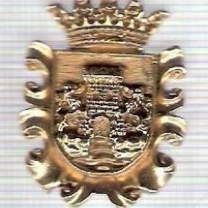 C302 Medalie(placheta) heraldica stema(emblema) zonala Spania -marime cca 30X23mm, gr aprox 7gr. -starea care se vede, mai buna ca scanarea